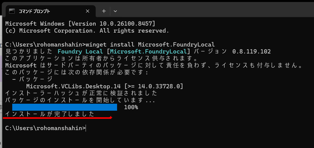 Foundry Localのインストール