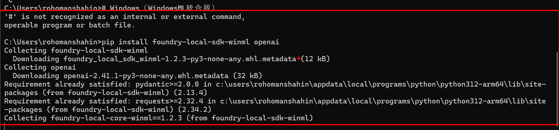 Foundry Local Python SDKのインストールと初期エラー